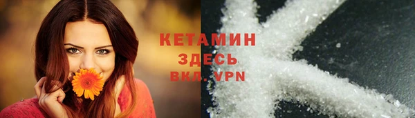 прущие грибы Елабуга