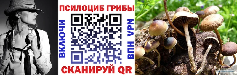 Псилоцибиновые грибы ЛСД  Бобров 